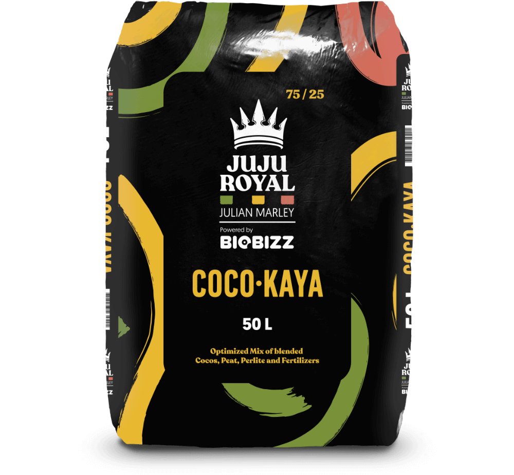 BioBizz Juju Royal Coco Kaya 50L